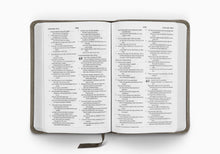 Load image into Gallery viewer, ESV Compact Bible TruTone®, Silver, Sword Design