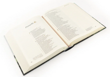 Load image into Gallery viewer, CSB Notetaking Bible: Dublin Theme