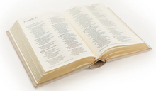 Load image into Gallery viewer, NLT Compact Bible: Casablanca Theme