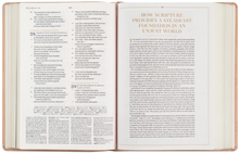Load image into Gallery viewer, CSB Women's Study Bible: Sonora Theme