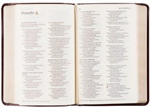 Load image into Gallery viewer, NLT Compact Bible: Yorkshire Theme