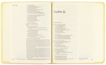 Load image into Gallery viewer, NLT Notetaking Bible: Belfast Theme