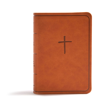 Load image into Gallery viewer, KJV On-the-Go Bible, Ginger LeatherTouch