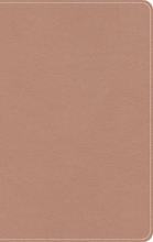 Load image into Gallery viewer, KJV On-The-Go Bible, Personal Size, Rose Gold LeatherTouch