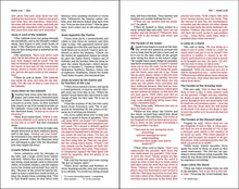 Load image into Gallery viewer, NIV, Bible for Kids, Flexcover, Pink/Gold, Red Letter, Comfort Print: Thinline Edition