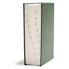 Load image into Gallery viewer, CSB He Reads Truth Bible, Evergreen Cloth Over Board Indexed