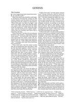 Load image into Gallery viewer, CSB On-the-Go Bible--soft leather-look, ginger