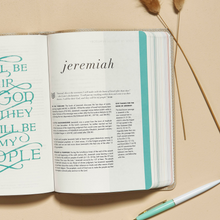 Load image into Gallery viewer, CSB She Reads Truth Bible, Champagne Gold LeatherTouch