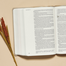 Load image into Gallery viewer, CSB She Reads Truth Bible, Champagne Gold LeatherTouch
