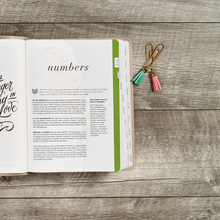 Load image into Gallery viewer, CSB She Reads Truth Bible, Champagne Gold LeatherTouch, Indexed