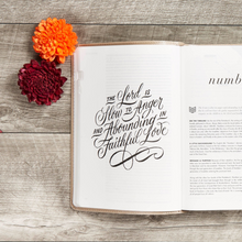 Load image into Gallery viewer, CSB She Reads Truth Bible, Champagne Gold LeatherTouch, Indexed