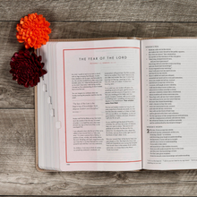 Load image into Gallery viewer, CSB She Reads Truth Bible, Champagne Gold LeatherTouch, Indexed