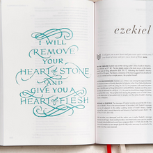 Load image into Gallery viewer, CSB She Reads Truth Bible, Gray Linen, Indexed