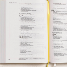 Load image into Gallery viewer, CSB She Reads Truth Bible, Hardcover