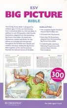 Load image into Gallery viewer, ESV Big Picture® Bible Hardcover