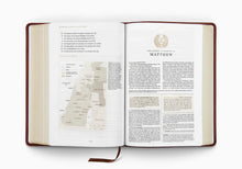 Load image into Gallery viewer, ESV Men's Study Bible TruTone®, Brown