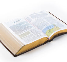 Load image into Gallery viewer, ESV STUDY BIBLE : AURORA THEME