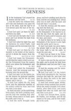 Load image into Gallery viewer, KJV Kids Bible, Lion LeatherTouch