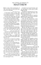 Load image into Gallery viewer, KJV Kids Bible, Lion LeatherTouch