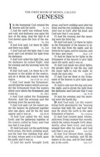 Load image into Gallery viewer, KJV Kids Bible, Bee LeatherTouch