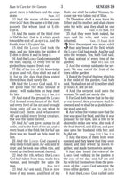 Load image into Gallery viewer, KJV Kids Bible, Bee LeatherTouch