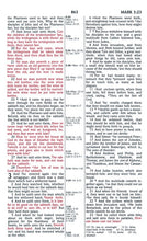 Load image into Gallery viewer, KJV UltraThin Reference Bible, Pink LeatherTouch