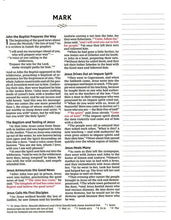 Load image into Gallery viewer, NIV Journal the Word Double-Column Bible for Girls--hardcover, pink with magnetic