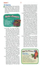 Load image into Gallery viewer, NirV Adventure Bible for Early Readers, Italian Duo-Tone, Elastic Closure, Amethyst/Pink