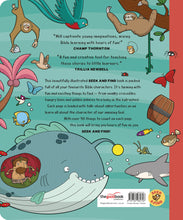 Load image into Gallery viewer, Seek and Find: Old Testament Bible Stories