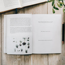 Load image into Gallery viewer, THE SERMON ON THE MOUNT | STUDY