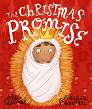 Load image into Gallery viewer, The Christmas Promise Storybook