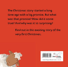 Load image into Gallery viewer, The Christmas Surprise