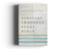Load image into Gallery viewer, NIV, Biblical Theology Study Bible, Hardcover