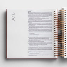 Load image into Gallery viewer, Illustrating Bible - NIV - Pink