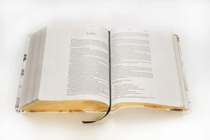 NLT Wide Margin Bible, Filament - Enabled Edition (Red Letter, LeatherLike, Autumn Leaves) DaySpring Signature Collection