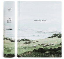 Load image into Gallery viewer, CSB Notetaking Bible: Dublin Theme
