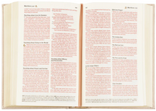 Load image into Gallery viewer, NLT Compact Bible: Casablanca Theme
