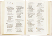 Load image into Gallery viewer, NLT Compact Bible: Casablanca Theme
