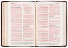 Load image into Gallery viewer, NLT Compact Bible: Yorkshire Theme
