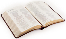 Load image into Gallery viewer, NLT Compact Bible: Yorkshire Theme
