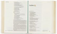 Load image into Gallery viewer, NLT Notetaking Bible: Lisbon Theme
