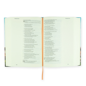 ESV LARGE PRINT JOURNALING BIBLE: ALBION THEME