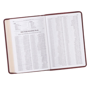 Brown Faux Leather Compact King James Version Bible - KJV005