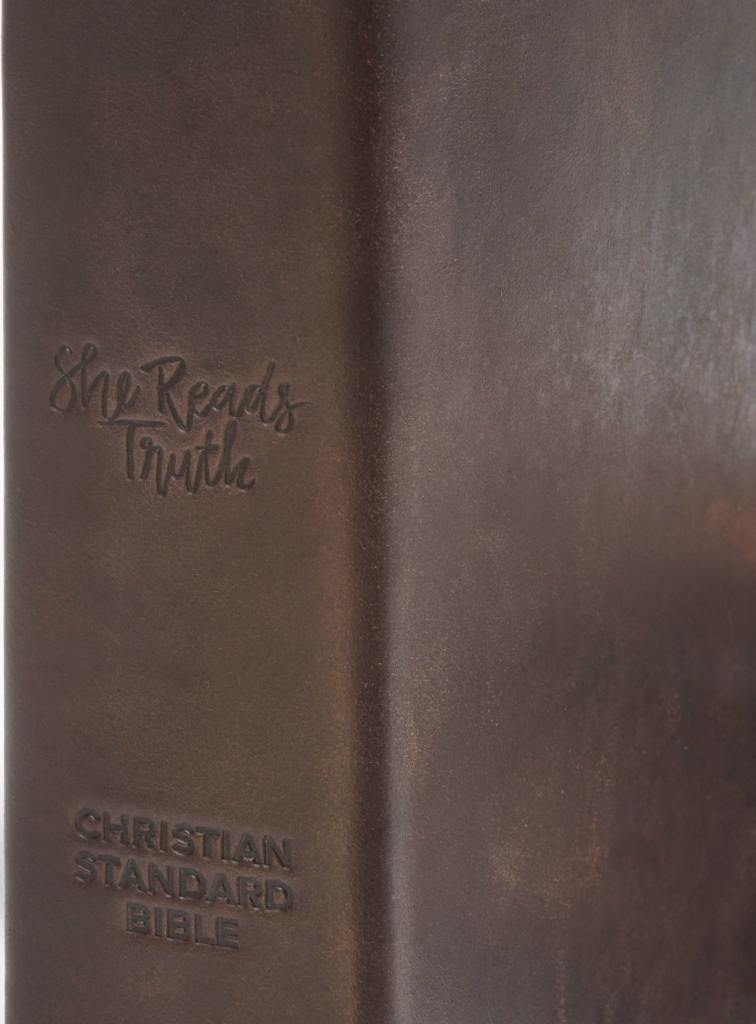 CSB She Reads Truth Bible, Brown Genuine Leather