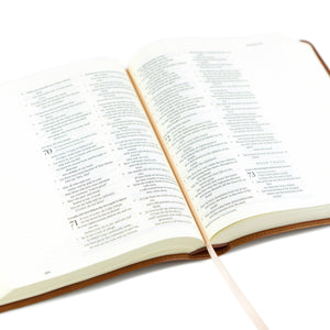 ESV JOURNALING BIBLE: SIERRA THEME