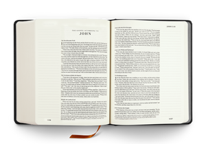 ESV Single Column Journaling Bible®, Artist Series - Joshua Noom, The Lion and the Lamb