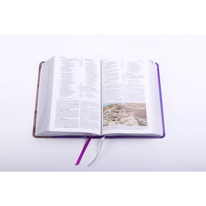 Holman Personal Size Study Bible: NKJV Edition, Purple LeatherTouch