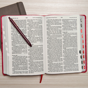 KJV Giant Print Reference Bible, Pink LeatherTouch, Indexed