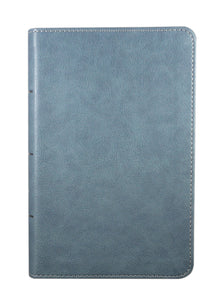 KJV On-The-Go Bible, Personal Size, Steel Blue LeatherTouch
