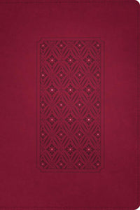 KJV Personal Size Giant Print Bible, Filament Enabled Edition Cranberry